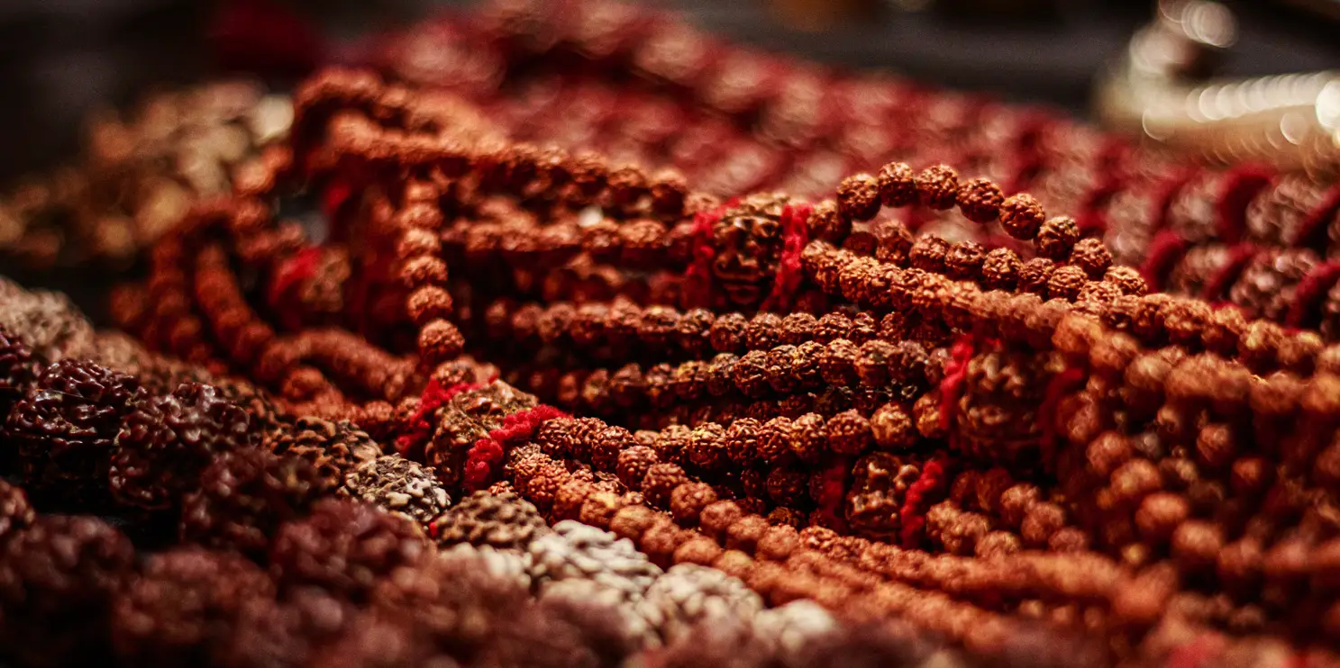 Malas de rudraksha, plano cercano